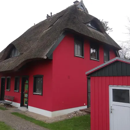 Dornroschen - #95070 * Zingst
